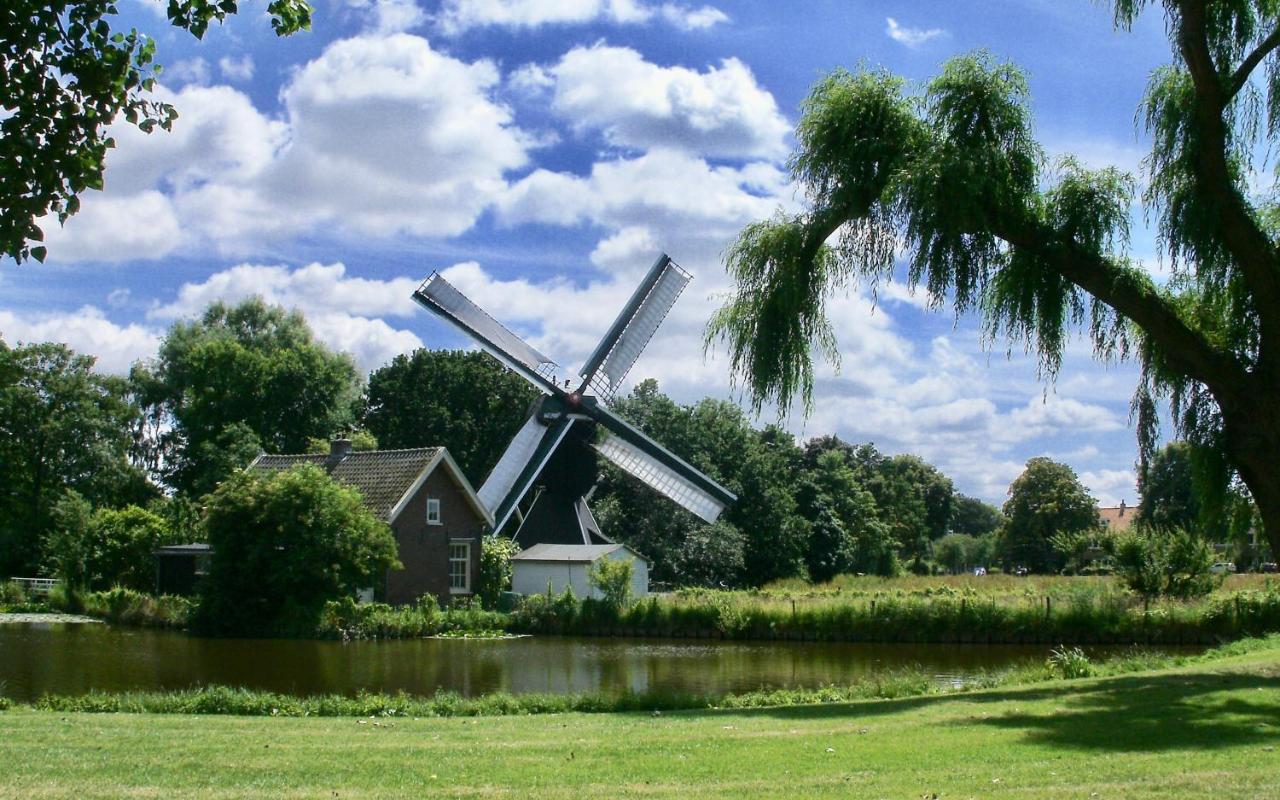 Bed & Breakfast Tegenover De Molen Haarlem Kültér fotó